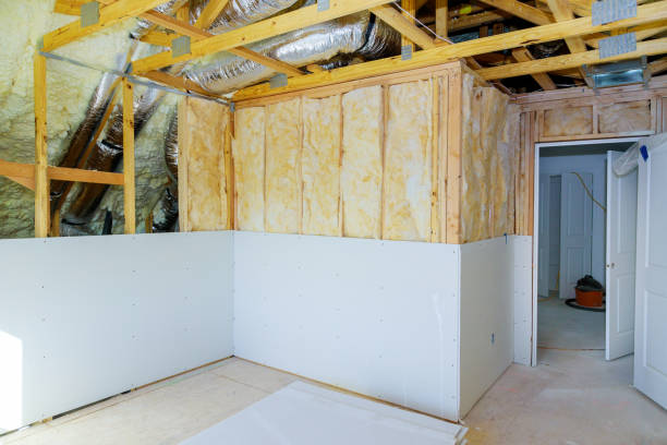 Best Eco-Friendly Insulation in Utica, SC